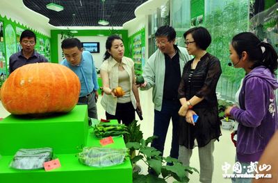 中國農副土特產品開發公司董事長在武山調研(圖)--天水在線