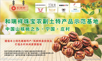 山核桃小核桃核桃基地設(shè)計(jì)圖__廣告設(shè)計(jì)_廣告設(shè)計(jì)_設(shè)計(jì)圖庫(kù)