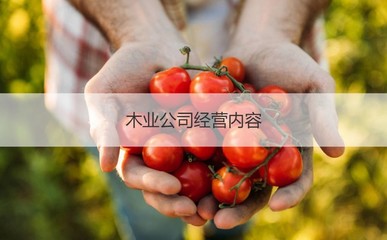 廣西南寧豐林木業(yè)集團 南寧豐林木業(yè)招聘