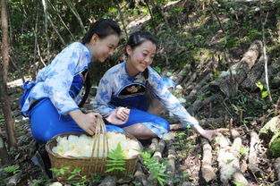 告別巴中,怎能不帶走這些土特產