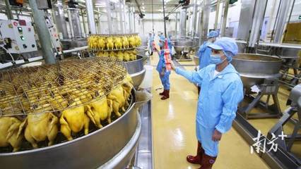 廣東縣域“食力”新版圖,舌尖上的產業如何更有滋味?