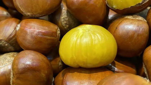 太太好吃了 杭州這幾家糖炒栗子吃到 登牢 還要吃