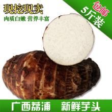 盛昌農副特產購銷部