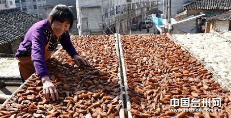 冬閑增收