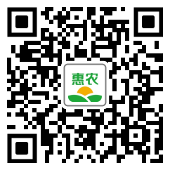 [苦參 貴州農副土特產品非種植無硫中藥材苦參干貨產地直發一手貨源價格10斤