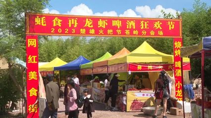蒼嶺鎮火把節系列活動開幕 體驗愜意田園生活