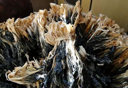 秋冬季節,臺山這兩種食材開始上市,煲湯味道一流