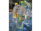 九龍井飲品-知名的竹葉水供貨廠家 焦作純凈水圖片|九龍井飲品-知名的竹葉水供貨廠家 焦作純凈水產品圖片由鄭州市九龍井飲品公司生產提供-