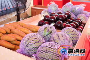 海口冼夫人文化節農副集市開市 土特產成搶手貨