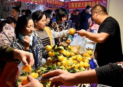 喜迎農(nóng)民豐收節(jié),百家農(nóng)產(chǎn)品、服裝服飾廠商齊聚卓刀泉古玩城