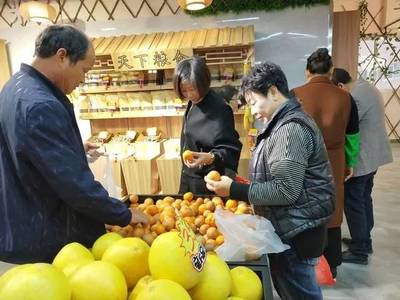 【喜訊】泰順鹿城山海協作農特產品直銷中心開業