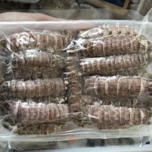  特鮮特產商行 主營 特產 海鮮