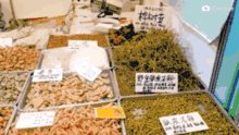 會展中心展銷會明天開始 免費公交站點快記好 10元 20元 30元代金券免費送
