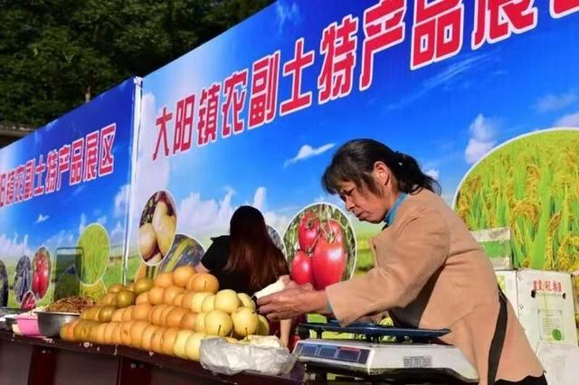 春種秋收 天道酬勤,云陽大地奏響“豐收節”贊歌