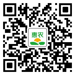 [豬腸 豬小腸價格10個