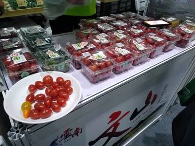 富寧特色精品驚艷上海灘
