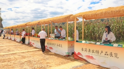 古藺縣政務(wù)服務(wù)網(wǎng) 服務(wù)要聞 2023年中國農(nóng)民豐收節(jié)暨古藺縣第二屆高粱豐登節(jié)開幕
