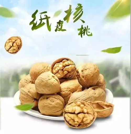 大張第二屆新疆特產(chǎn)節(jié) 新疆直采,好產(chǎn)地,好品質(zhì),好價(jià)格