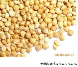 陽原縣金弟農副產品有限責任公司